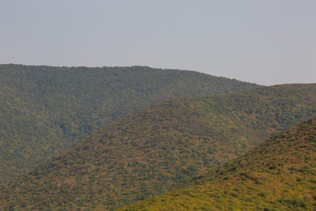 Natural mountain landscape with layered forested hills. Scenic wilderness environment suitable for travel, nature, ecology, and outdoor themed commercial projects.の写真素材