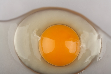 Organic egg yolk closeupの写真素材