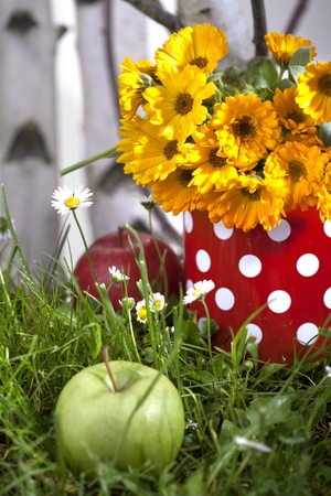 Apples, marigold in pot and daisiesの写真素材