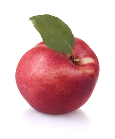 healthy organic nectarineの写真素材