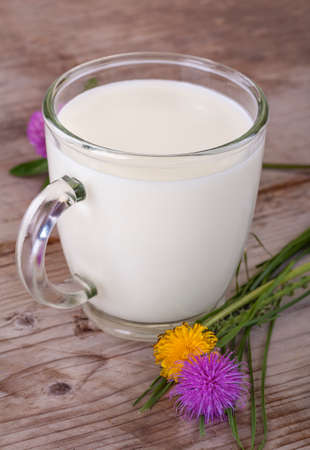 organic fresh milk in the cup with flowersの写真素材