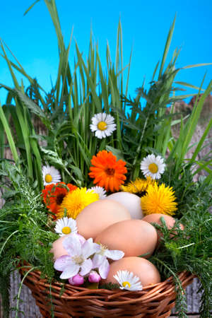 
Eggs in a basket with spring plants and flowersの写真素材