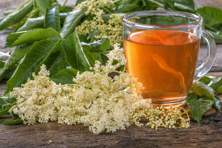 Domestic healthy elder  tea on a rustic wooden tableの写真素材