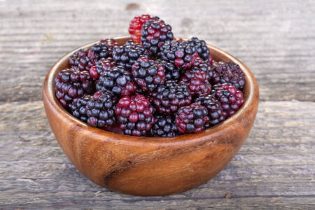 Organic home grown freshly picked blackberries from the garden