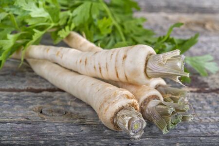 freshly harvested parsnip on an old rustic wooden tableの写真素材