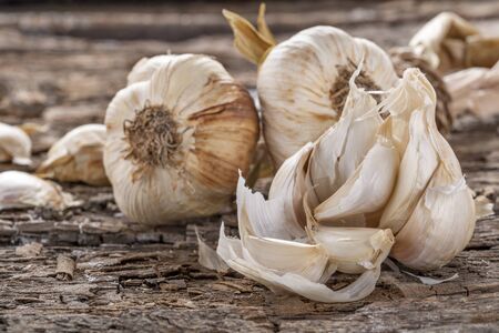 Domestic freshly-picked garlic on a wooden rustic backgroundの写真素材