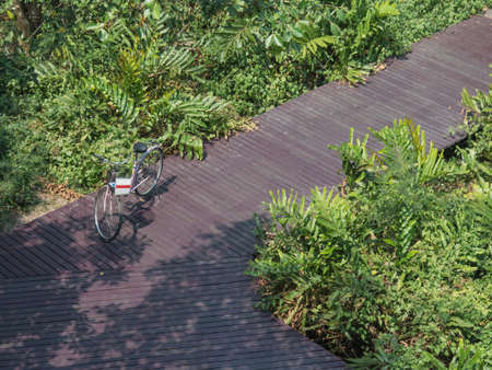 bicycle in the park, bike for life, bike on wood bridgeの写真素材