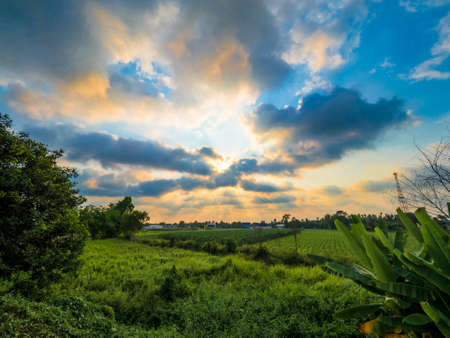 sunset in green field, spring landscape, bright colorful sky and clouds as backgroundの写真素材