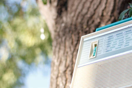 Retro radio hanging on a tree branchの写真素材