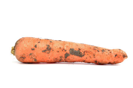 carrotの写真素材