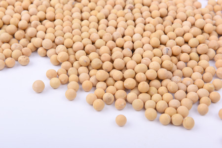 Soybeanの写真素材