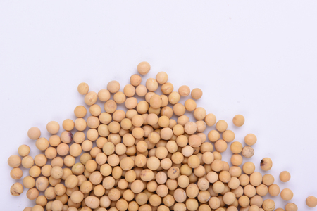 soybeanの写真素材
