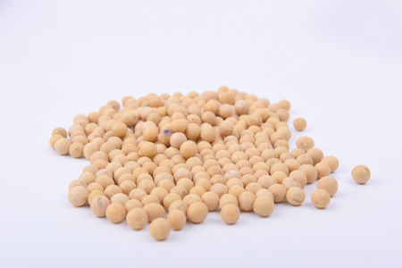 soybeanの写真素材