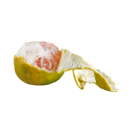 tangerineの写真素材
