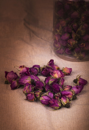 Dried damask rose.の写真素材