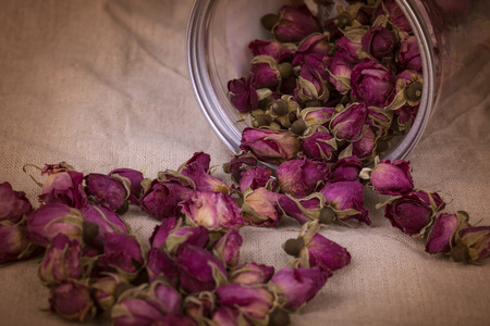 Dried damask rose.の写真素材