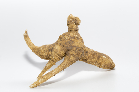 The shape of Ginseng root look like a woman on white background