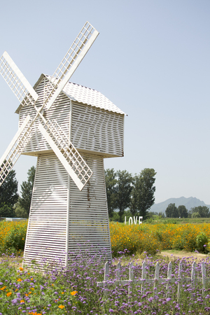 windmill in the fieldの写真素材