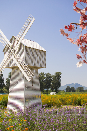white windmill in the fieldの写真素材