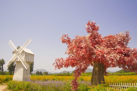 white windmill in the fieldの写真素材