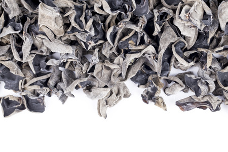 Black fungus on white background.の写真素材