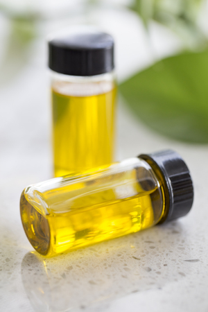 Essential oils with fresh green leaf on the tableの写真素材
