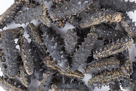 Dried sea cucumber, healthy and valuable food in China.の写真素材