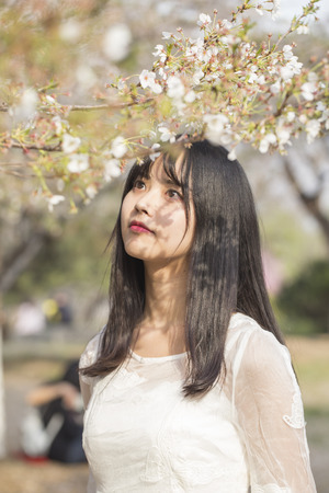 Spring portrait of a beautiful Asian girl and beautiful gardenの写真素材
