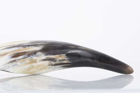 Ox horn, used for scraping or Guasha. A popular treatment for sunstroke by scraping the patient's neck, chest or back in China.の写真素材