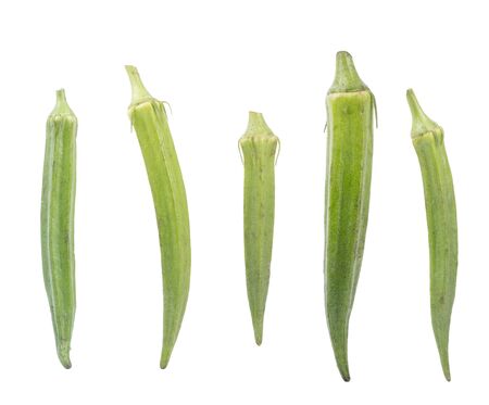 Five fresh young okra isolated on white background.