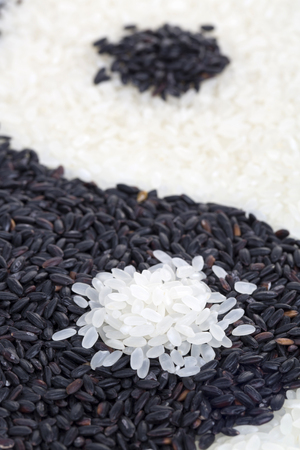Yinyang made from black and white rice. Closeup.の写真素材