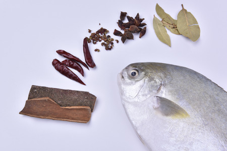 Pomfret and spices on the white background.の写真素材