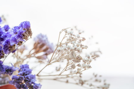 Closeup of dried flowers.の写真素材