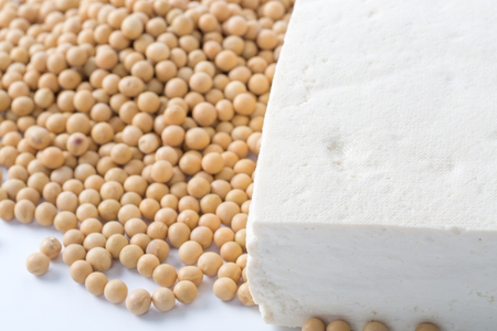 Fresh tofu and beansの写真素材