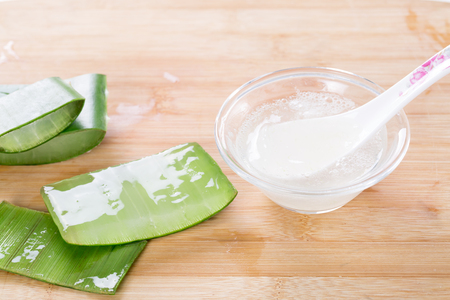 Fresh aloe veraの写真素材