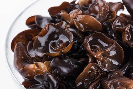 Black fungus close-upの写真素材