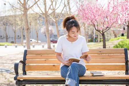 Young woman sitting on bench in park, reading book, on a sunny day.の写真素材