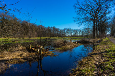 Grasslands in Gronau-Epe (West germany)