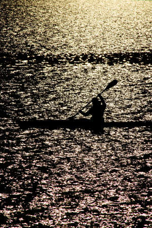 Sailing in a golden oceanの写真素材