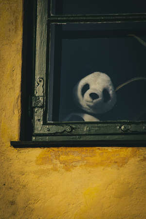 Panda Spyの写真素材