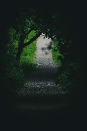A dark pathの写真素材