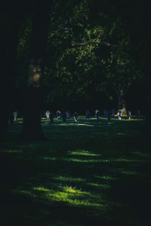 A creepy sceneの写真素材