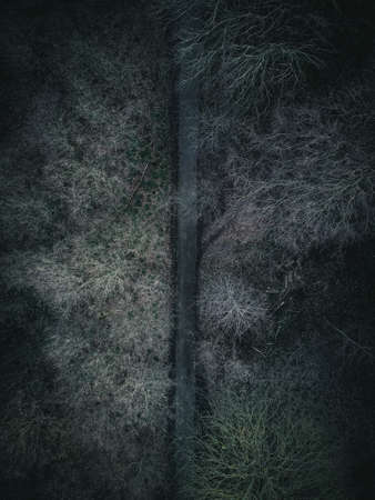 Winter nature from aboveの写真素材