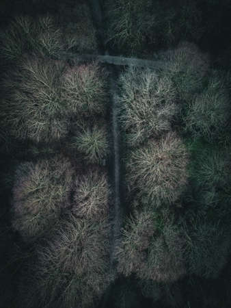 Winter nature from aboveの写真素材