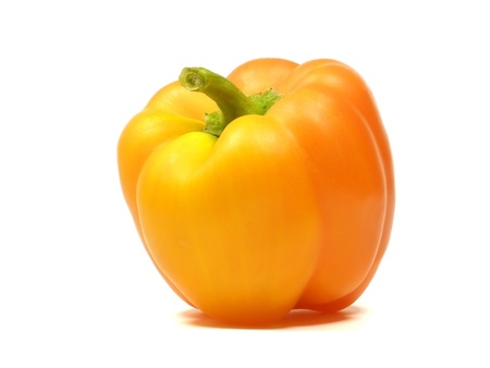 single sweet pepper on a white background   の写真素材