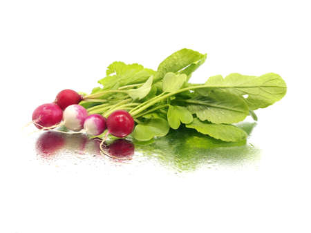 fresh radish on a white background with water drops 
の写真素材