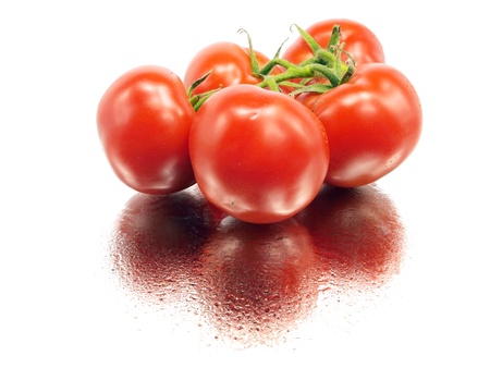 fresh tomatoes on a white background with water drops     の写真素材