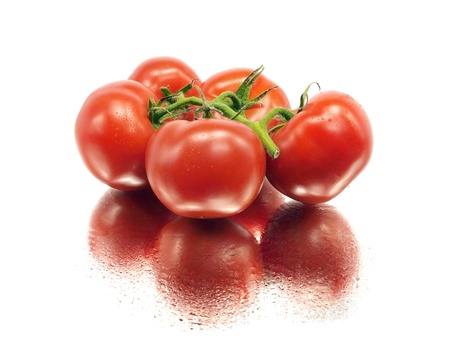 fresh tomatoes on a white background with water drops     の写真素材