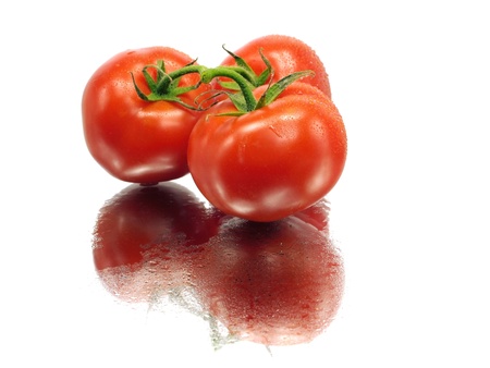 fresh tomatoes on a white background with water drops 
 の写真素材