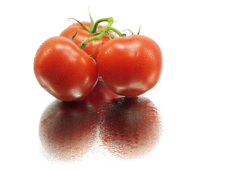 fresh tomatoes on a white background with water drops 
 の写真素材